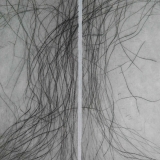 benedicte-de-moulins.com_galerie_racine-1