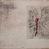 benedicte-de-moulins.com_galerie_racine-10