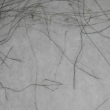 benedicte-de-moulins.com_galerie_racine-3