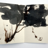 benedicte-de-moulins.com_realisations_carnets_16