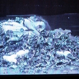 benedicte-de-moulins.com_expositions_cnn_orleans_6