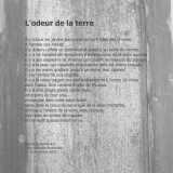 benedicte-de-moulins.com_realisations_odeur_de_la_terre_18