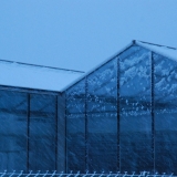 benedicte-de-moulins.com_expositions_salon_vol_de_nuit_5_6